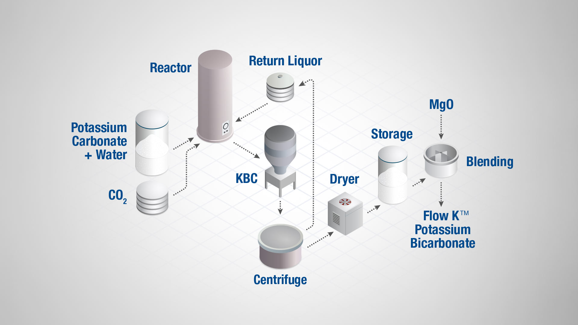 Arm & Hammer Infographic