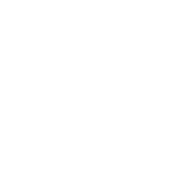 Wonderlic Logo