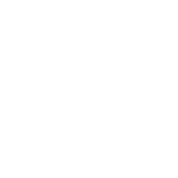 ARMEX Logo
