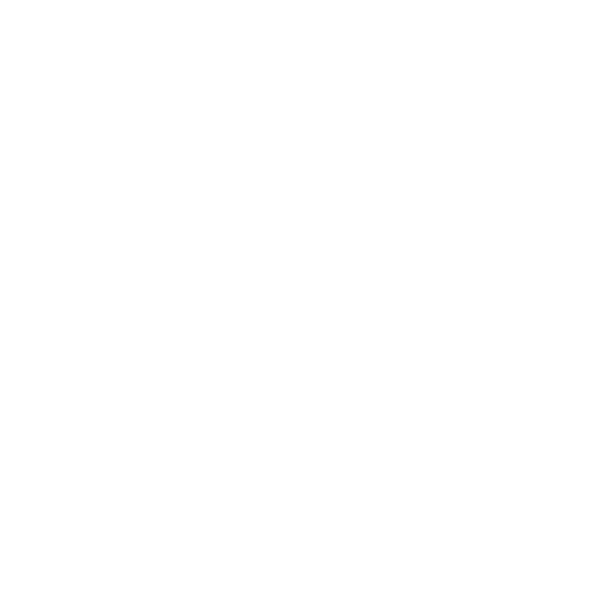 Rayburn Resort Logo