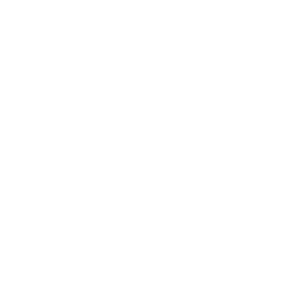 Schuelke Custom Logo