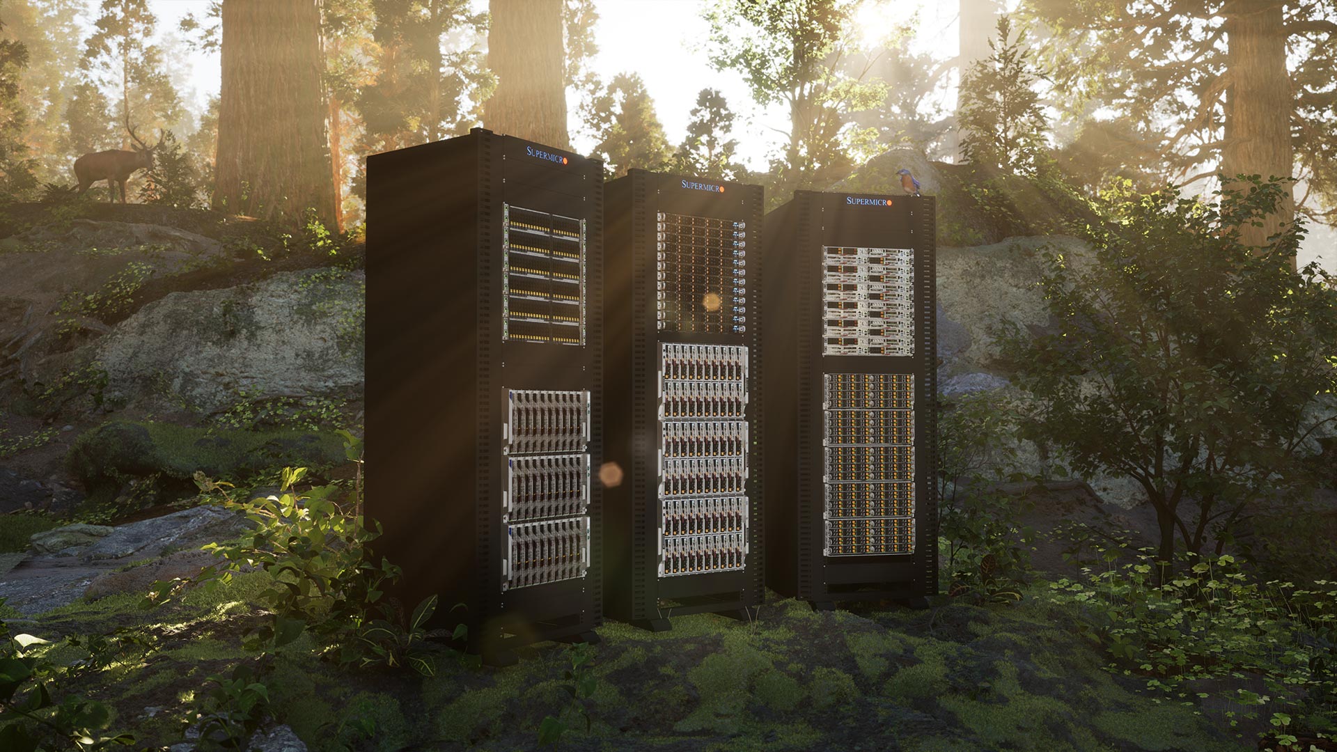 Three rack Supermicro rack servers in forest